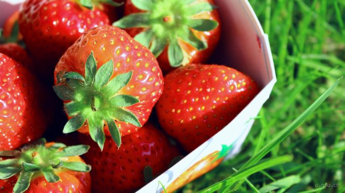 Haben Erdbeeren viel Fruchtzucker? Die süße Wahrheit über das Lieblingsobst