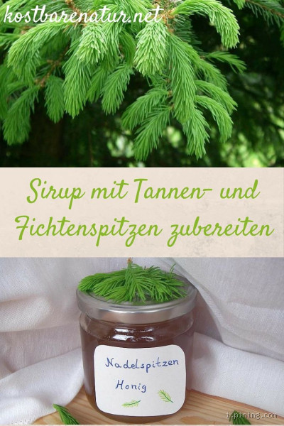 Ist Tannensirup gesund?