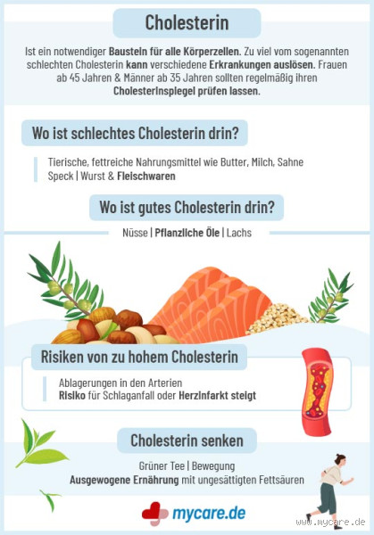 Ist Zitrone gut bei Cholesterin? Finde heraus, warum!