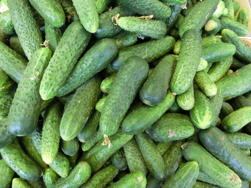 Sind Cornichons vegan? Was wirklich in den kleinen Gurken steckt