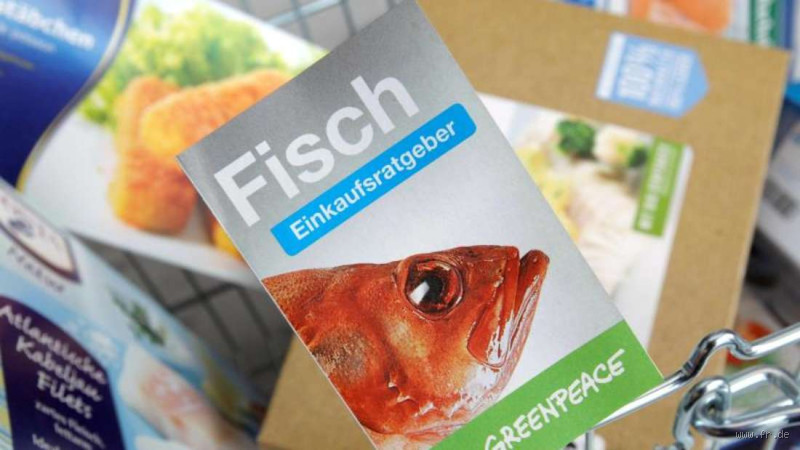 Welcher Fisch ist ökologisch unbedenklich? Entdecke die besten Optionen!
