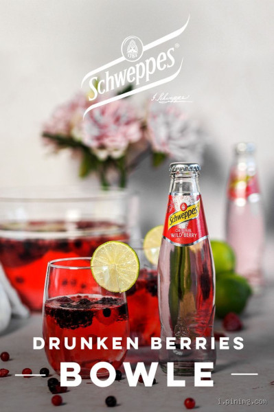 Wie trinkt man Schweppes Wild Berry? Ein erfrischendes Erlebnis entdecken