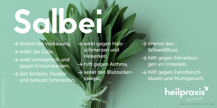 Ist Salbei gut gegen Reizhusten? Entdecke die heilsame Wirkung