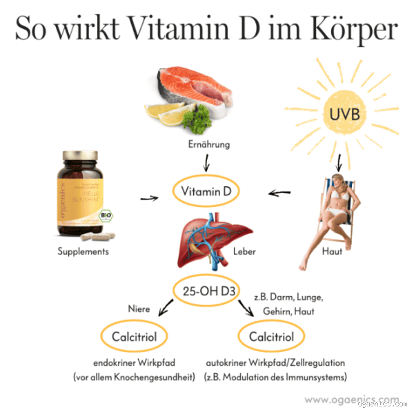 Ist Vitamin D gut für das Immunsystem? Die Wahrheit über das Sonnenvitamin