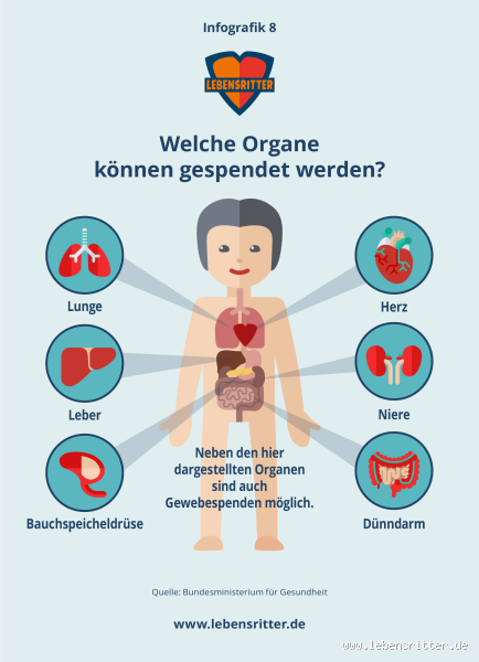 Kann jeder jedem Organe spenden? Wichtige Informationen zur Organspende