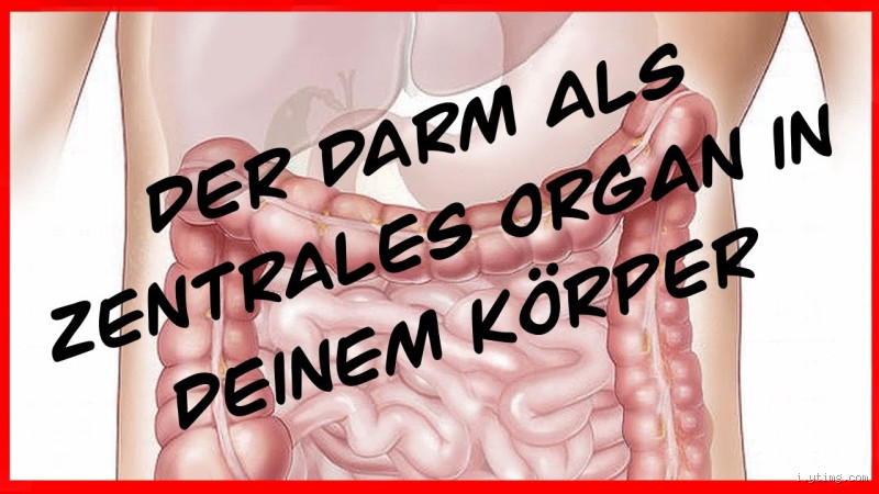 Wann ist die Darmnaht verheilt? - Alles über den Heilungsprozess und die Dauer der Erholung nach einer Darmoperation