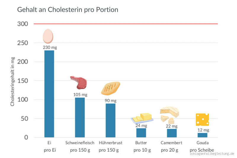 Was hat am meisten Cholesterin?