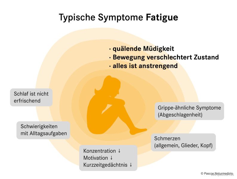 Was ist Fatigue Symptome? Ein umfassender Leitfaden zur Erschöpfung