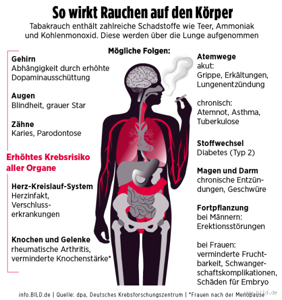 Was passiert mit den Blutgefäßen, wenn man raucht? Die erschreckenden Auswirkungen