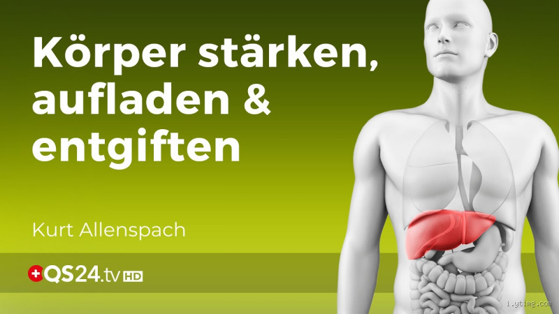 Was passiert, wenn die Leber nicht mehr entgiften kann? Erkenne die Warnzeichen