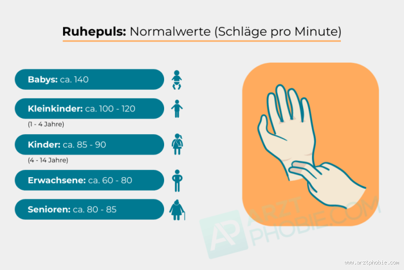 Was passiert, wenn man einen zu hohen Puls hat?