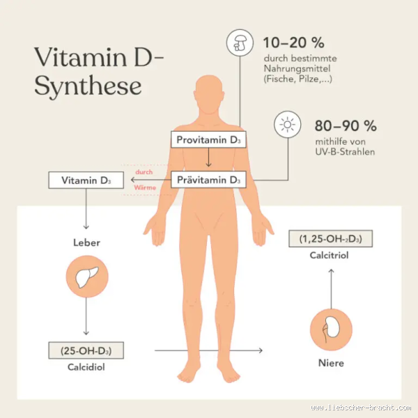 Was zerstört Vitamin-D im Körper? Die Überraschenden Feinde des Vitamins
