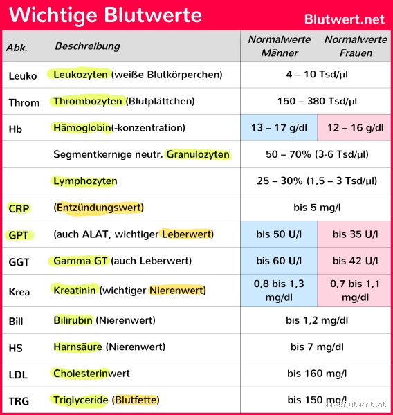 Welche Blutwerte deuten auf eine Entzündung hin? Wichtige Hinweise