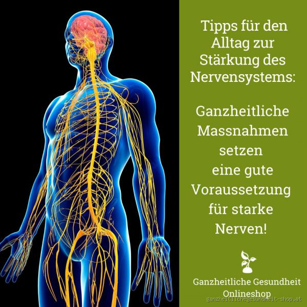 Wie erholen sich Nerven? - Die besten Tipps zur Nervenregeneration und Gesundheit