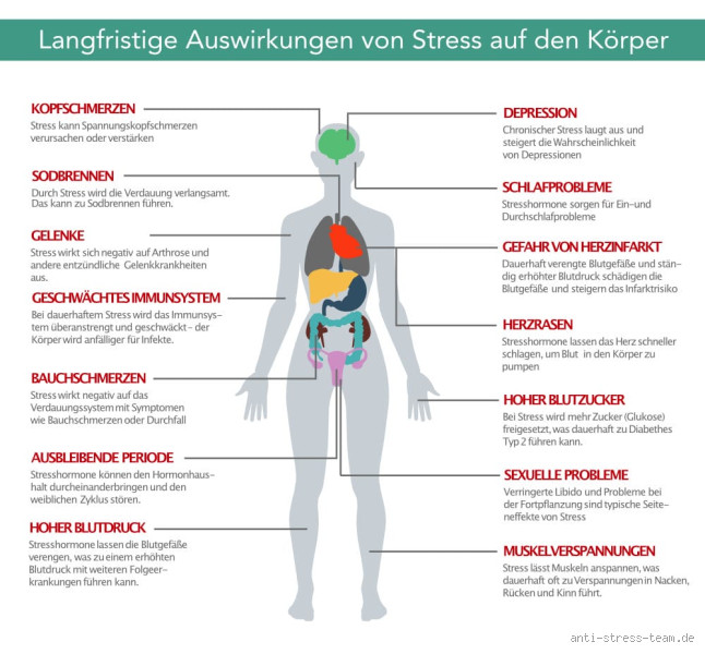 Kann man von viel Stress krank werden? Die Auswirkungen von zu viel Belastung