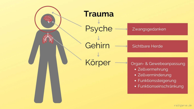 Was ist eine komplexe Traumafolgestörung? - Alles über Ursachen, Symptome und Behandlungsmöglichkeiten