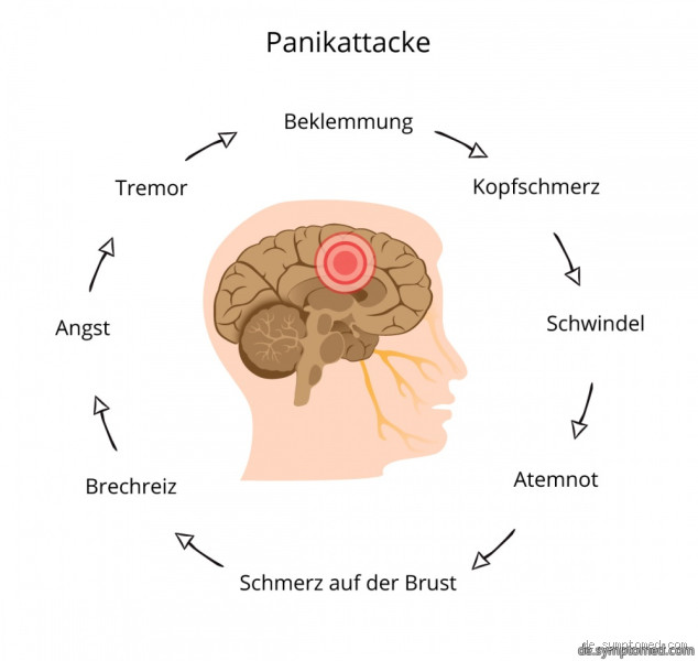 Welches Hormon verursacht Panikattacken? Die geheime Verbindung