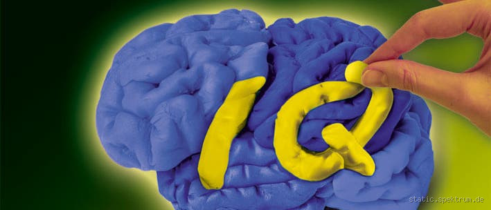 Wie kann man Intelligenz trainieren? Tipps und Methoden für den Geist