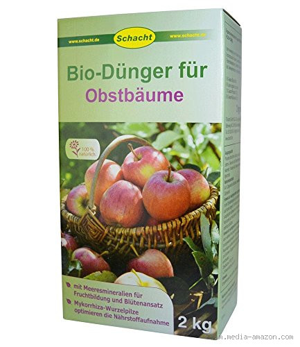 Welcher Dünger für Kirschbäume? So bringst du deine Kirschen zum Wachsen!