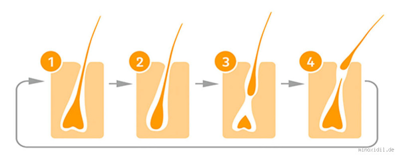 Wie viel KG hält ein Haar aus? Faszinierende Fakten über die Stärke unserer Haare