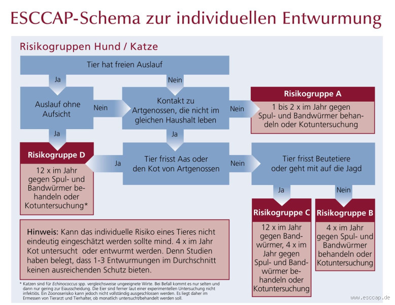 Wie oft sollte man Entwurmen? Die Wahrheit tut gut