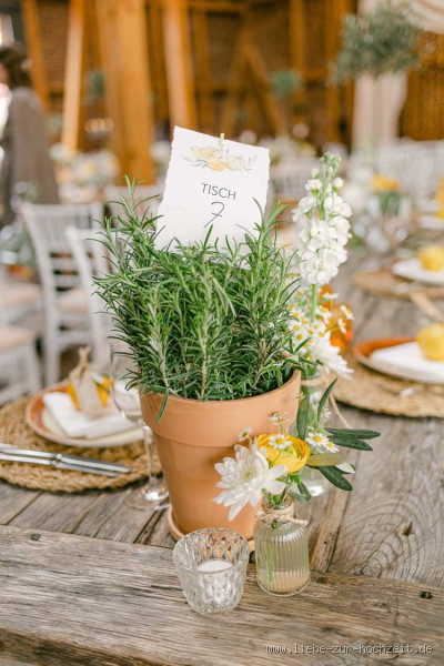Wann ist die Zitronenhochzeit? (Entdecke dieses süße Jubiläum!)