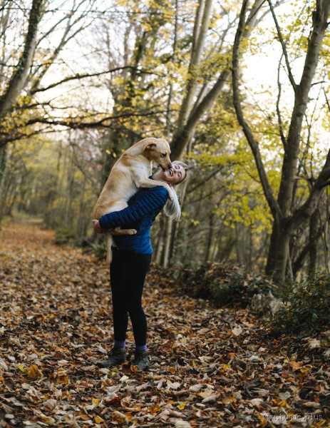 Warum fixieren Hunde Menschen? - Die faszinierende Psychologie hinter dem Blick