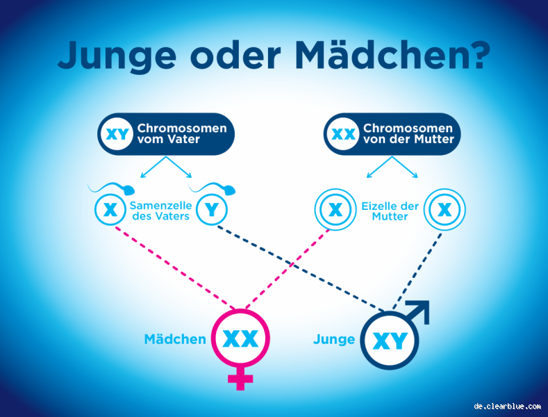 Welche Männer haben eine höhere Wahrscheinlichkeit, Mädchen zu bekommen?