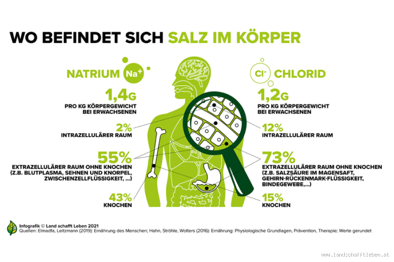 Welche Wirkung hat ein Salzkristall? - Entdecken Sie die faszinierenden Vorteile für Gesundheit und Wohlbefinden