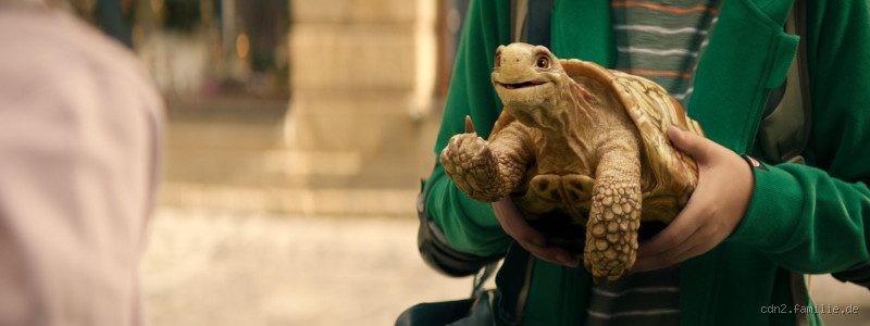 Wer spricht die Schildkröte in Die Schule der magischen Tiere?