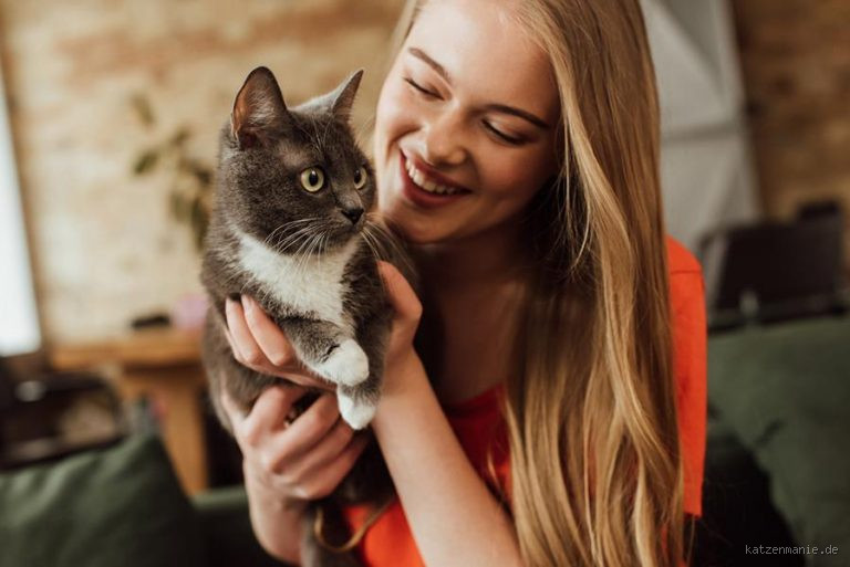 Wie heißt das Kind von einer Katze? – Alles über Kätzchen und ihre Entwicklung!