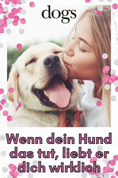 Wie sagt man seinem Hund Ich liebe dich? Die schönsten Wege der Hundesprache