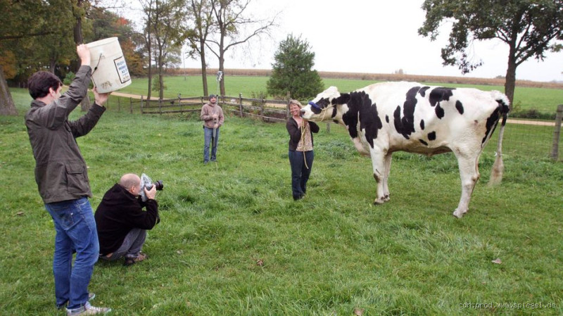 Wo ist der größte Kuhstall der Welt? Entdecke die Giganten der Landwirtschaft