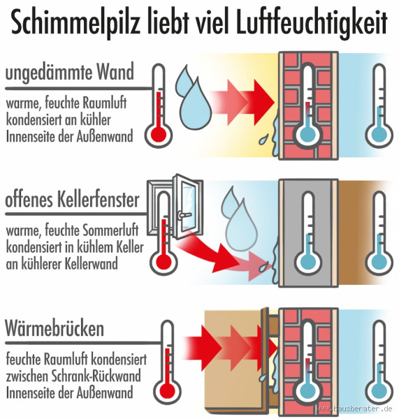 Bei welcher Luftfeuchtigkeit stirbt Schimmel? - So bekämpfen Sie Schimmel effektiv mit Luftfeuchtigkeitskontrolle