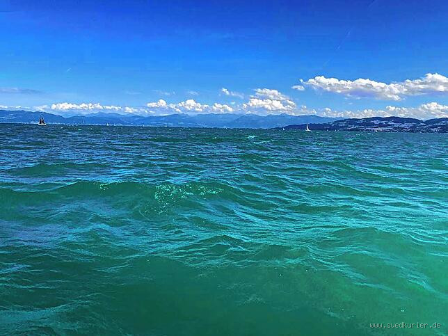 Blaualgen im Bodensee: Gibt es sie wirklich?