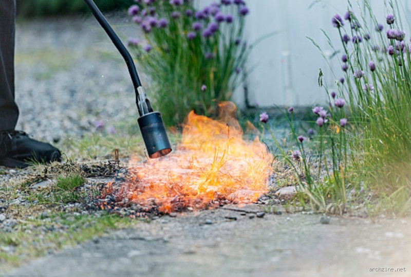 Kann man Flammen entfernen? Fakten, Mythen und Möglichkeiten