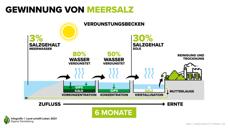 Kann man Salz aus dem Meer essen? Entdecke die Wahrheit dahinter!