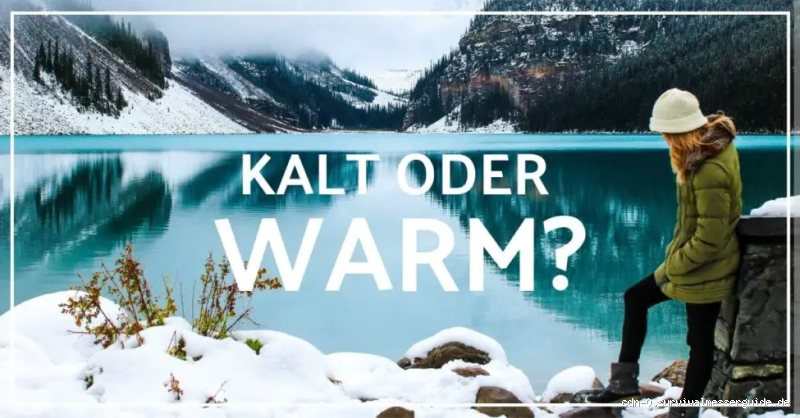 Was ist besser: Polyester oder Daunen? Eine umfassende Vergleichsstudie für den perfekten Wintermantel?