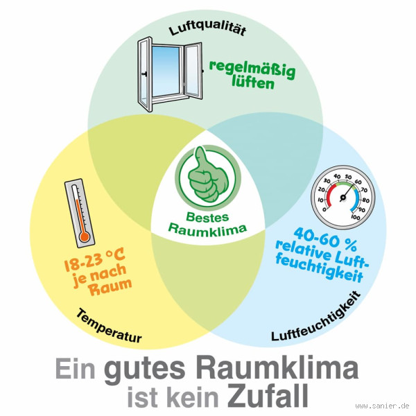 Was tun, wenn die Luftfeuchtigkeit im Raum zu hoch ist? Tipps für ein besseres Raumklima