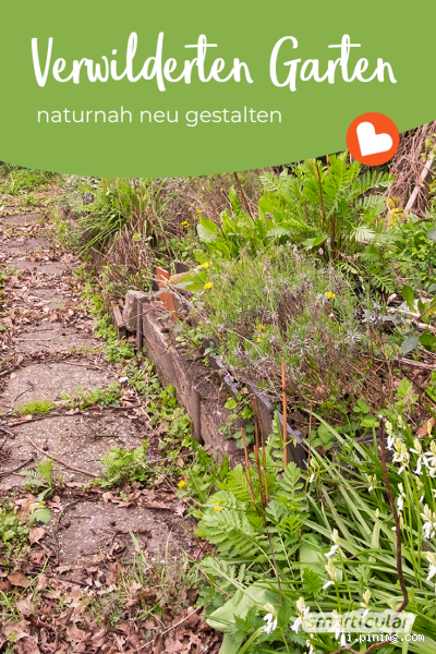 Wie bekomme ich einen verwilderten Garten wieder schön?