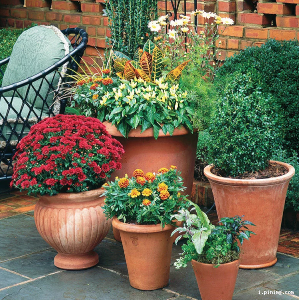 Wie bepflanze ich einen großen Blumenkübel? Tipps und Tricks