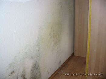 Wie sieht Schimmel an Kellerwänden aus? - Erkennen und Bekämpfen von Schimmelbildung in Kellern
