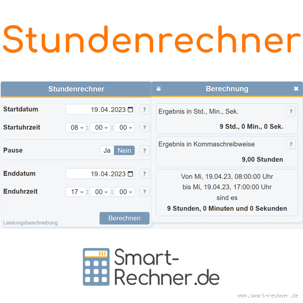 Wo halten sich Spinnen tagsüber auf?