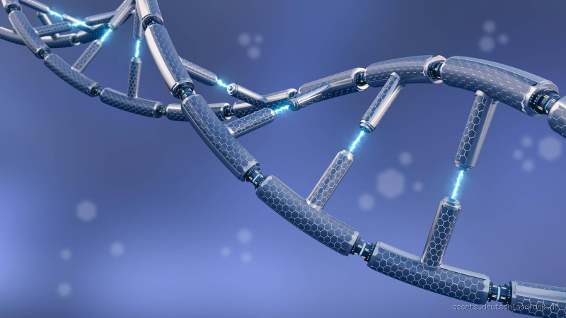 Ist DNA und Erbgut dasselbe? Die spannende Wahrheit dahinter