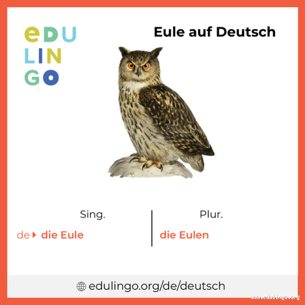 Was ist der Artikel von Eule? Eine spannende grammatikalische Entdeckung