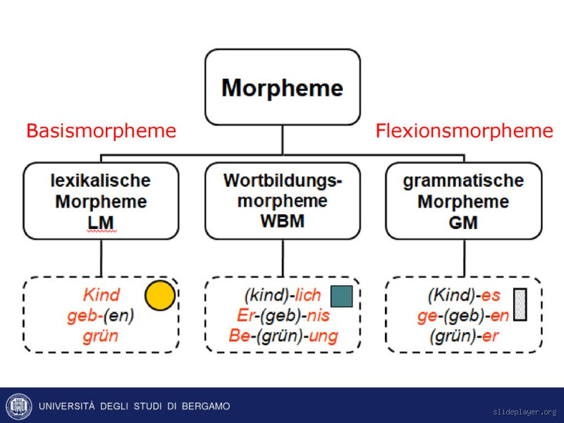 Was sind Signal Morpheme? Bedeutung und Anwendung in der Linguistik