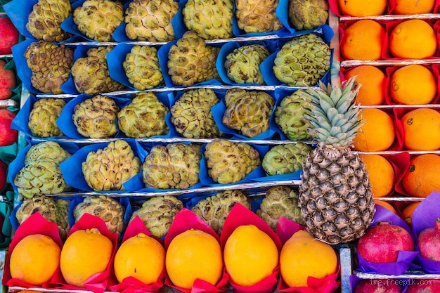 In welchem Alter lässt sich Hochbegabung erkennen? Die Bedeutung frühzeitiger Diagnose und Förderung