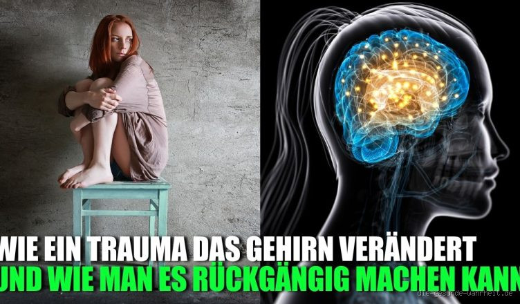 Kann man eine Gehirnwäsche rückgängig machen?