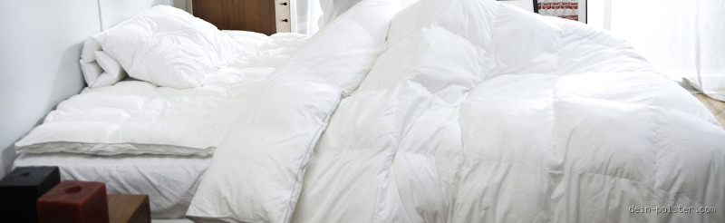 Was ist besser: Gel oder Kaltschaum Topper?
