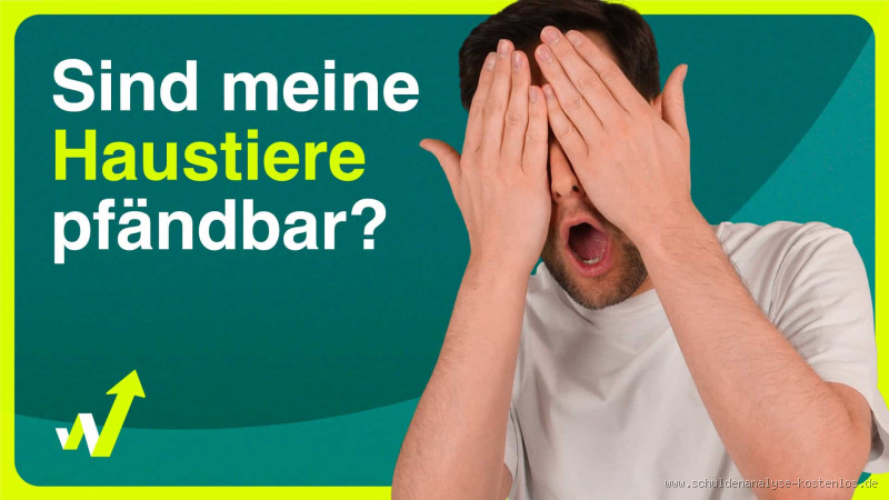 Was ist, wenn es nichts zu pfänden gibt? So gehen Sie richtig vor!